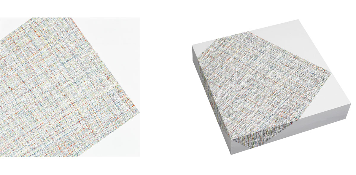 Susanne Lyner, 2015_29_Serie_Lagopus, 40 x 40 x 9 cm, Acryl auf Holz Susanne Lyner, 2015_29_Serie_Lagopus, 40 x 40 x 9 cm, Acryl auf Holz