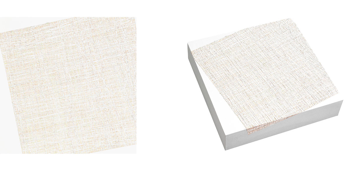 Susanne Lyner, 2015_30_Serie_Lagopus, 40 x 40 x 9 cm, Acryl auf Holz Susanne Lyner, 2015_30_Serie_Lagopus, 40 x 40 x 9 cm, Acryl auf Holz