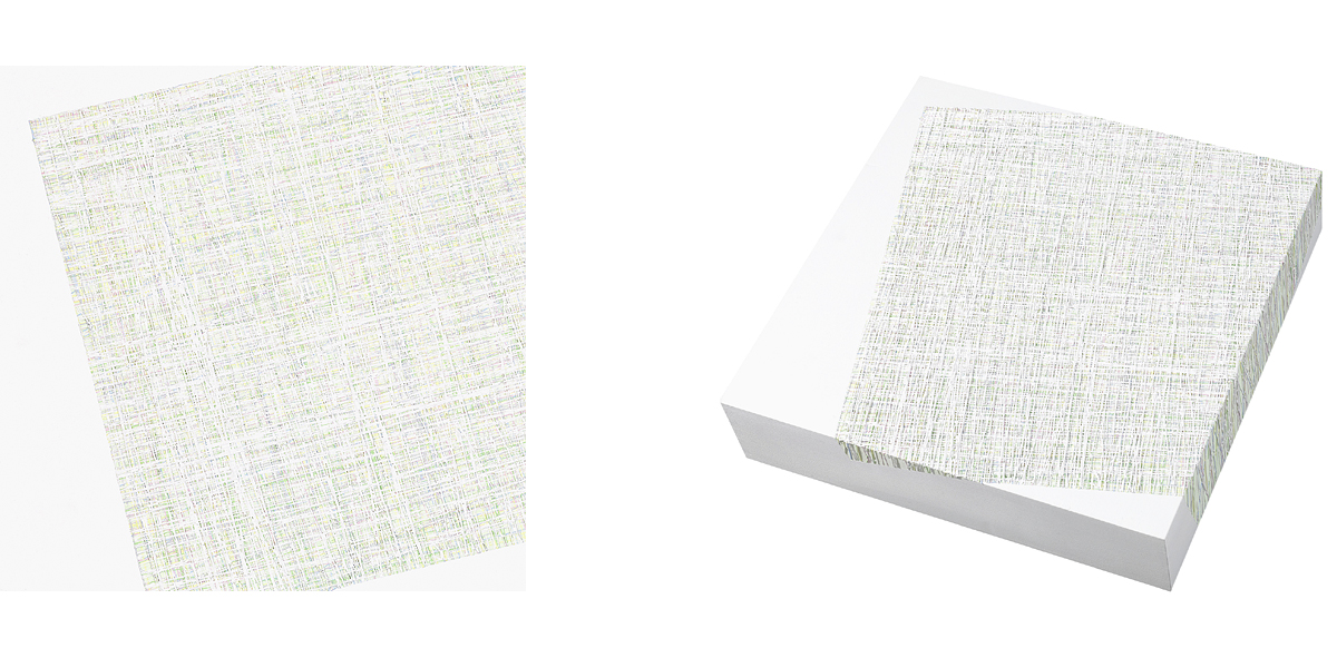 Susanne Lyner, 2015_37_Serie_Lagopus, 40 x 40 x 9 cm, Acryl auf Holz Susanne Lyner, 2015_37_Serie_Lagopus, 40 x 40 x 9 cm, Acryl auf Holz