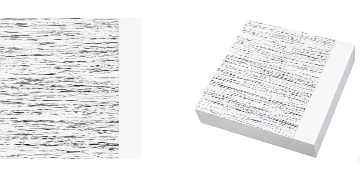 Susanne Lyner, 2016_03_Serie_Lagopus, 40 x 40 x 9 cm, Acryl auf Holz