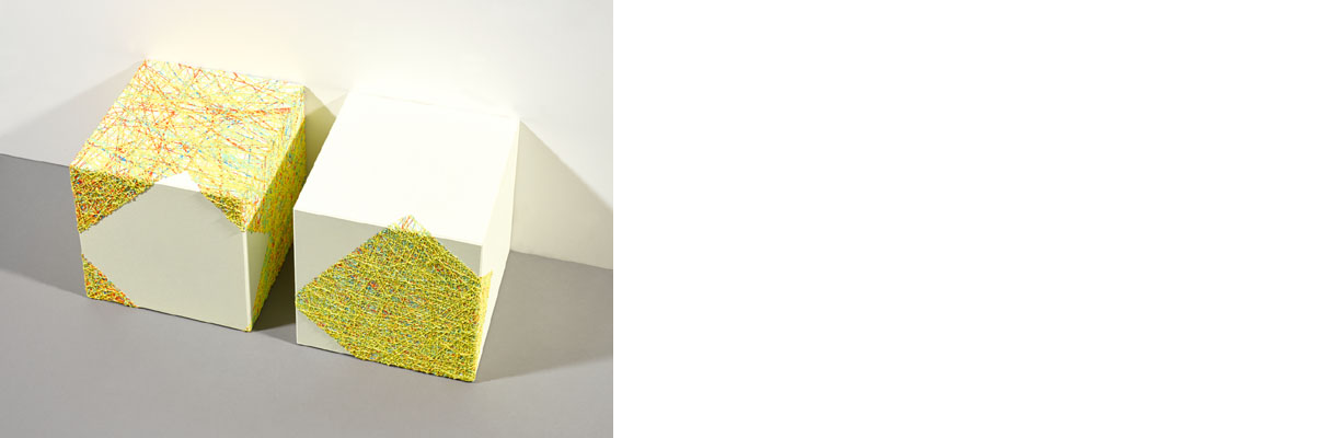 Susanne Lyner, Serie Inundauswendig