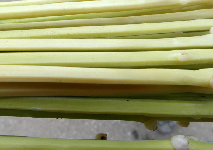 Susanne Lyner, 2016, Studienreise nach Ägypten Susanne Lyner, 2016, Studienreise nach Ägypten